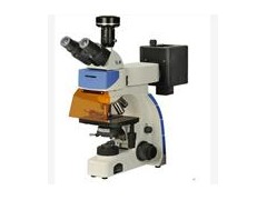 荧光显微镜YAP200i