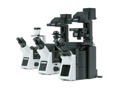 浦东荧光显微镜 荧光显微镜价格对比 浦东荧光显微镜哪里买 土森供