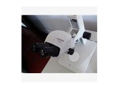 供应二手奥林巴斯SZ61双目体视显微镜