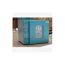 电热恒温培养箱|电热培养箱
