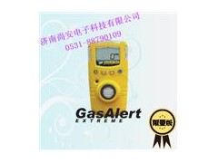 GAXT-G臭氧检测仪