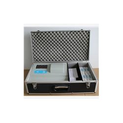 DS-0113水质分析仪