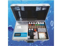 DSA便携式多参数水质分析仪