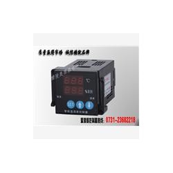 WSK-HS温湿度监控器 温湿度记录仪
