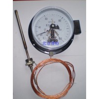 WTZ288压力式电接点温度计