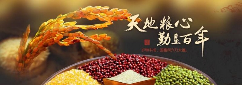 大米杂粮logo